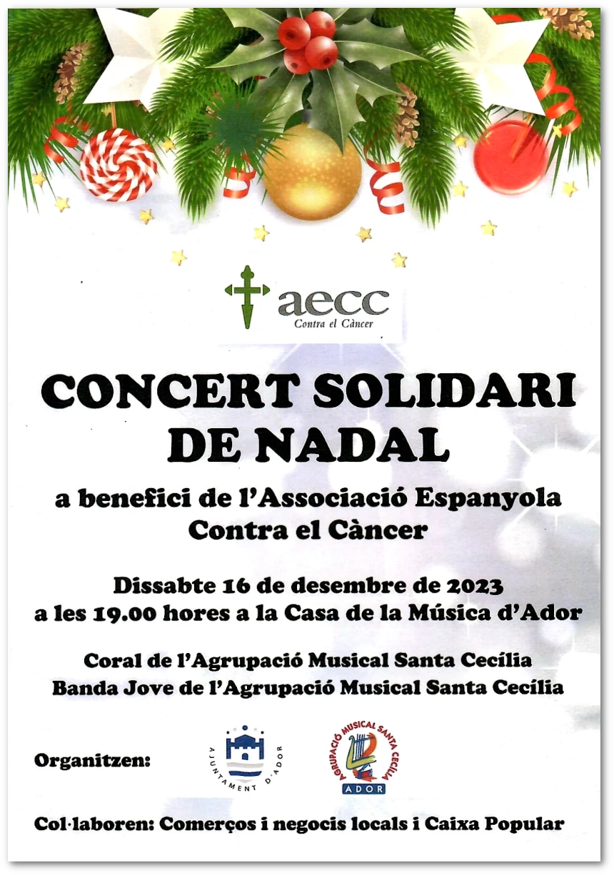 composició gràfica que representa una composició gràfica amb motius nadalencs, com a portada del programa de mà del concert Concert Solidari de Nadal